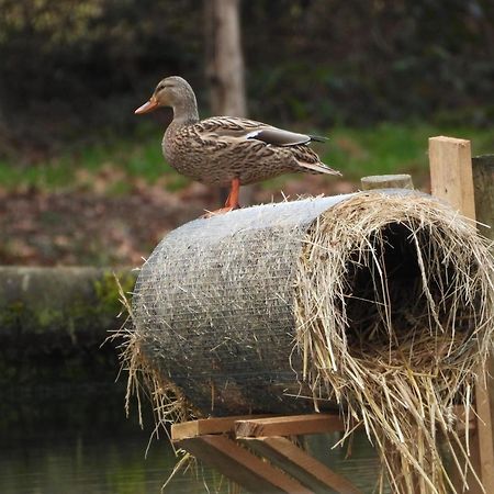 Maison D'Hotes En Pleine Nature Avec Chevaux Soucht المظهر الخارجي الصورة